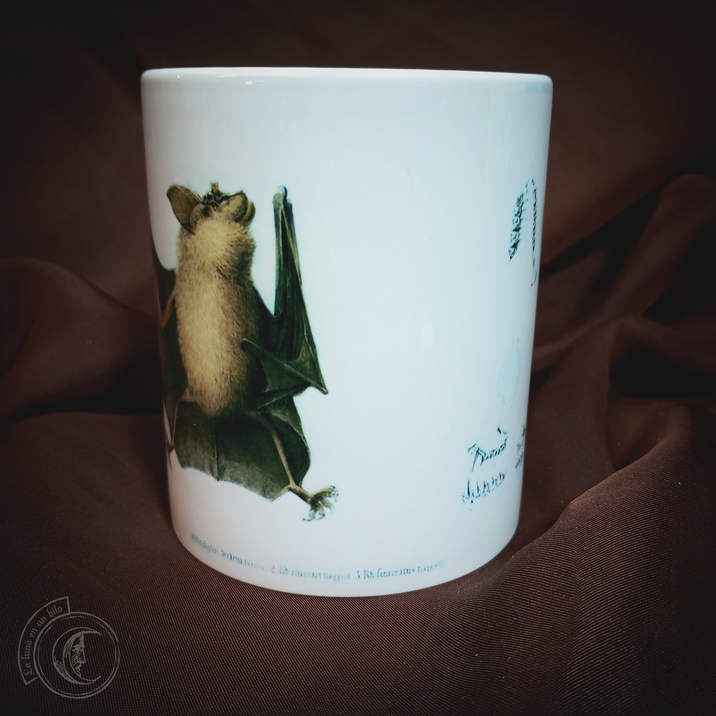 Vintage ceramic mug 11 oz - Bat Anatomy -