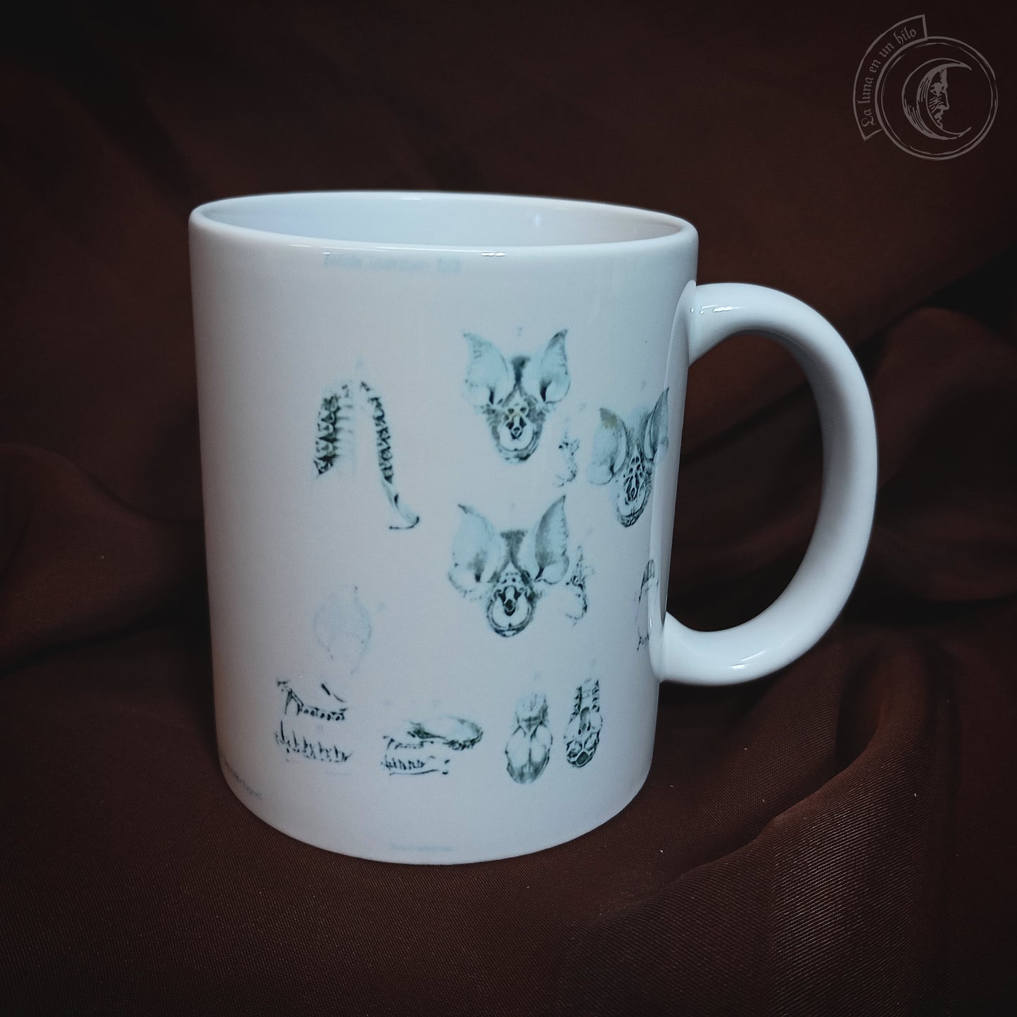 Vintage ceramic mug 11 oz - Bat Anatomy -