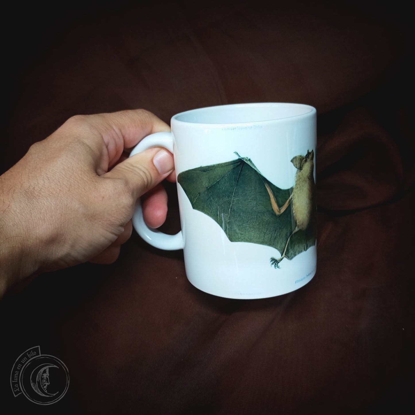 Vintage ceramic mug 11 oz - Bat Anatomy -