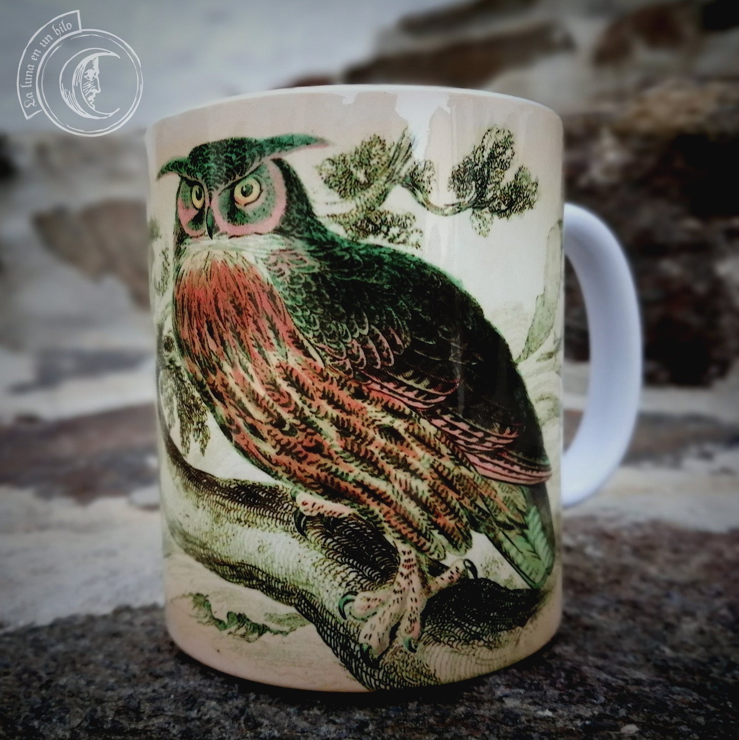 Vintage ceramic mug 11 oz - Owl Anatomy -