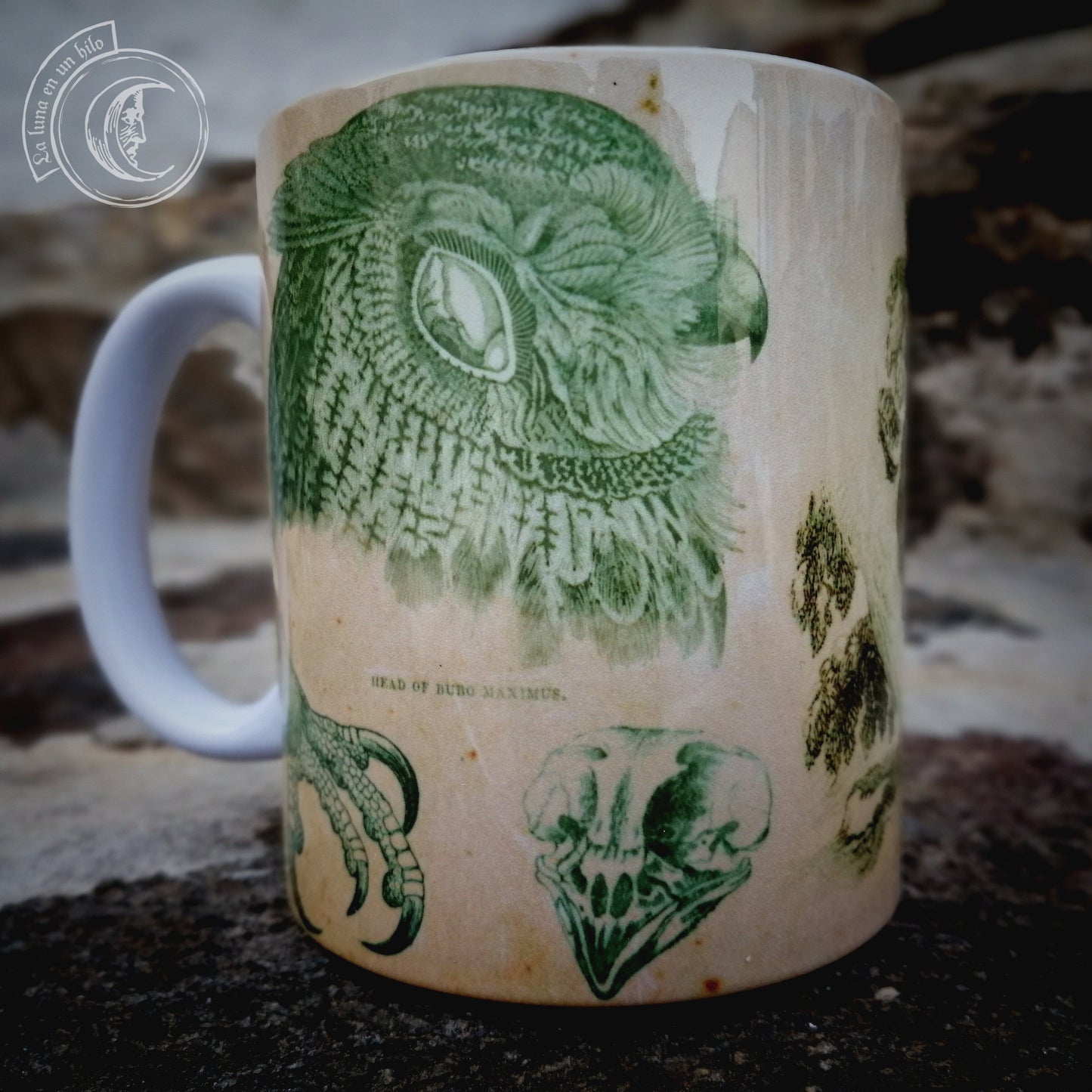 Vintage ceramic mug 11 oz - Owl Anatomy -