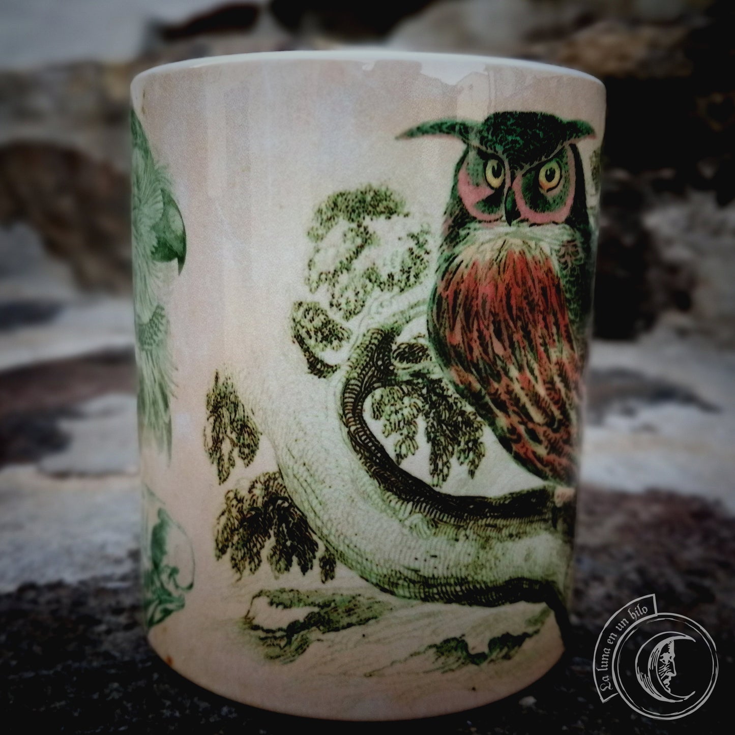 Vintage ceramic mug 11 oz - Owl Anatomy -