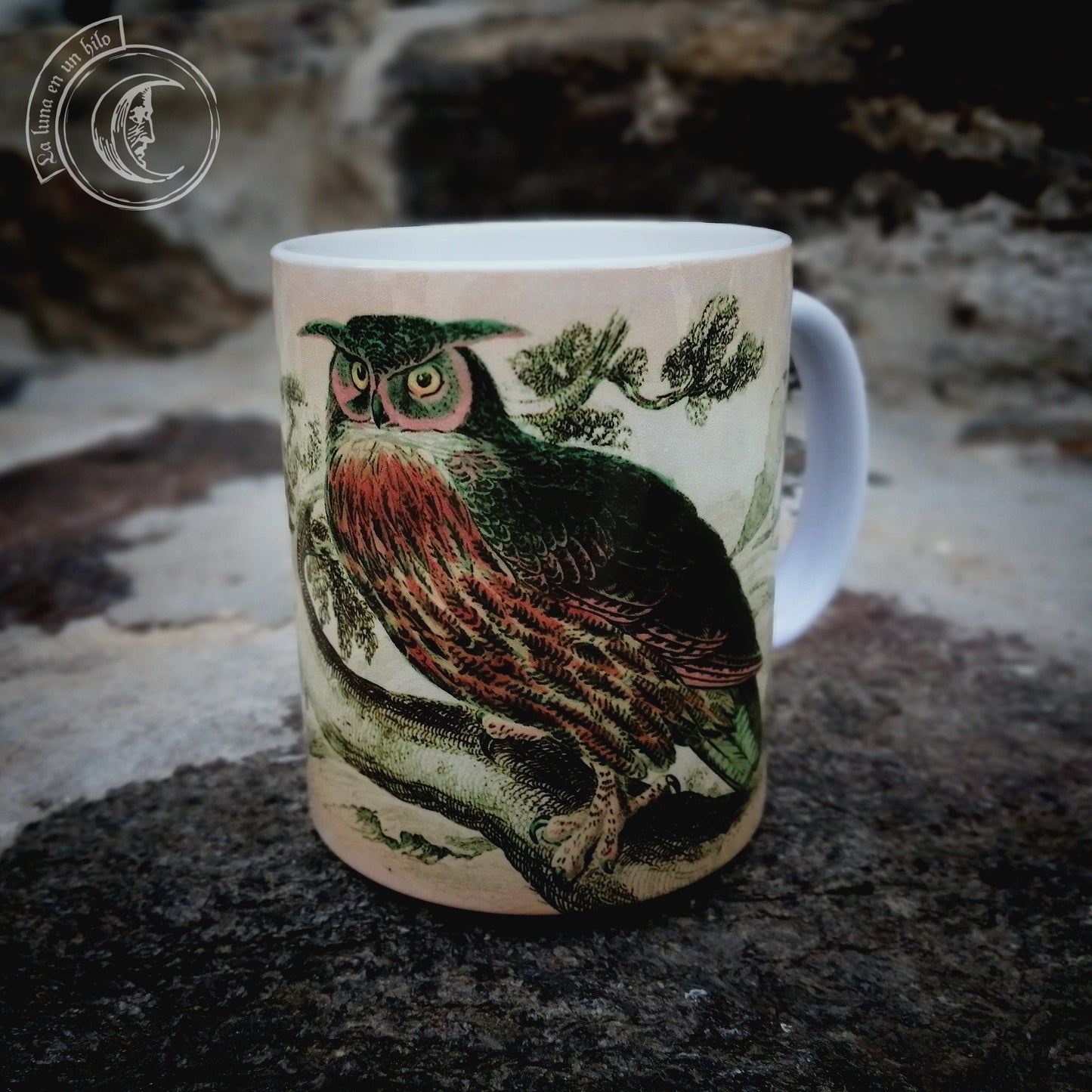 Vintage ceramic mug 11 oz - Owl Anatomy -