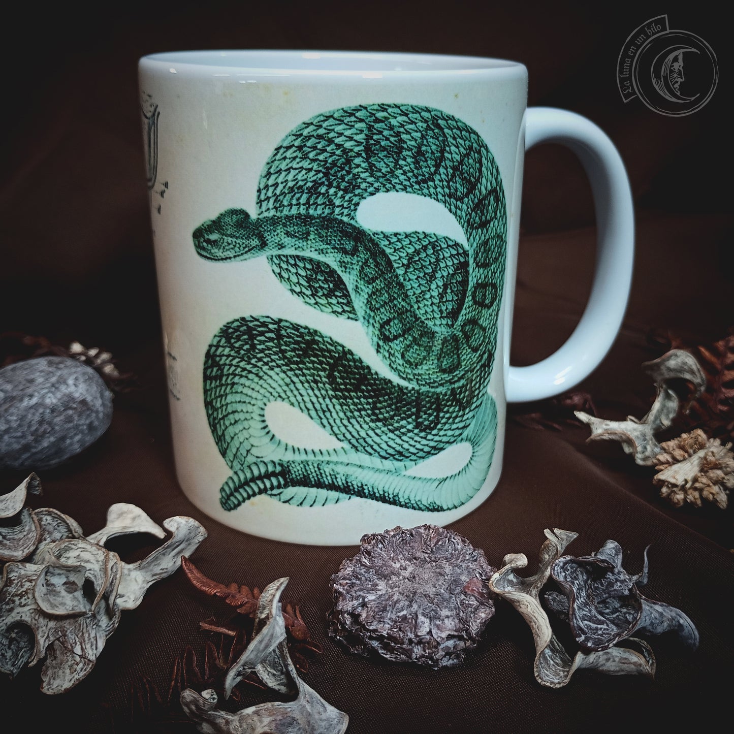 Vintage ceramic mug 11 oz - Rattlesnake Anatomy -
