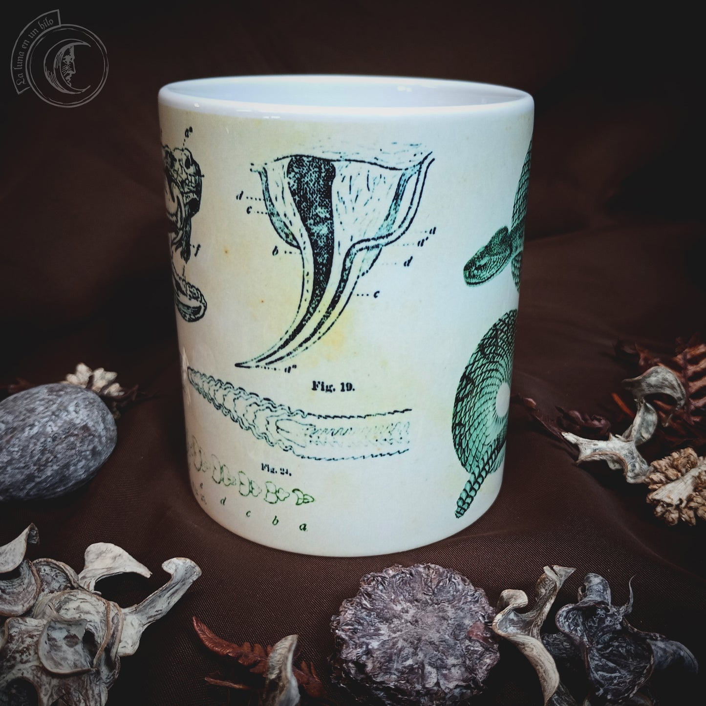 Vintage ceramic mug 11 oz - Rattlesnake Anatomy -