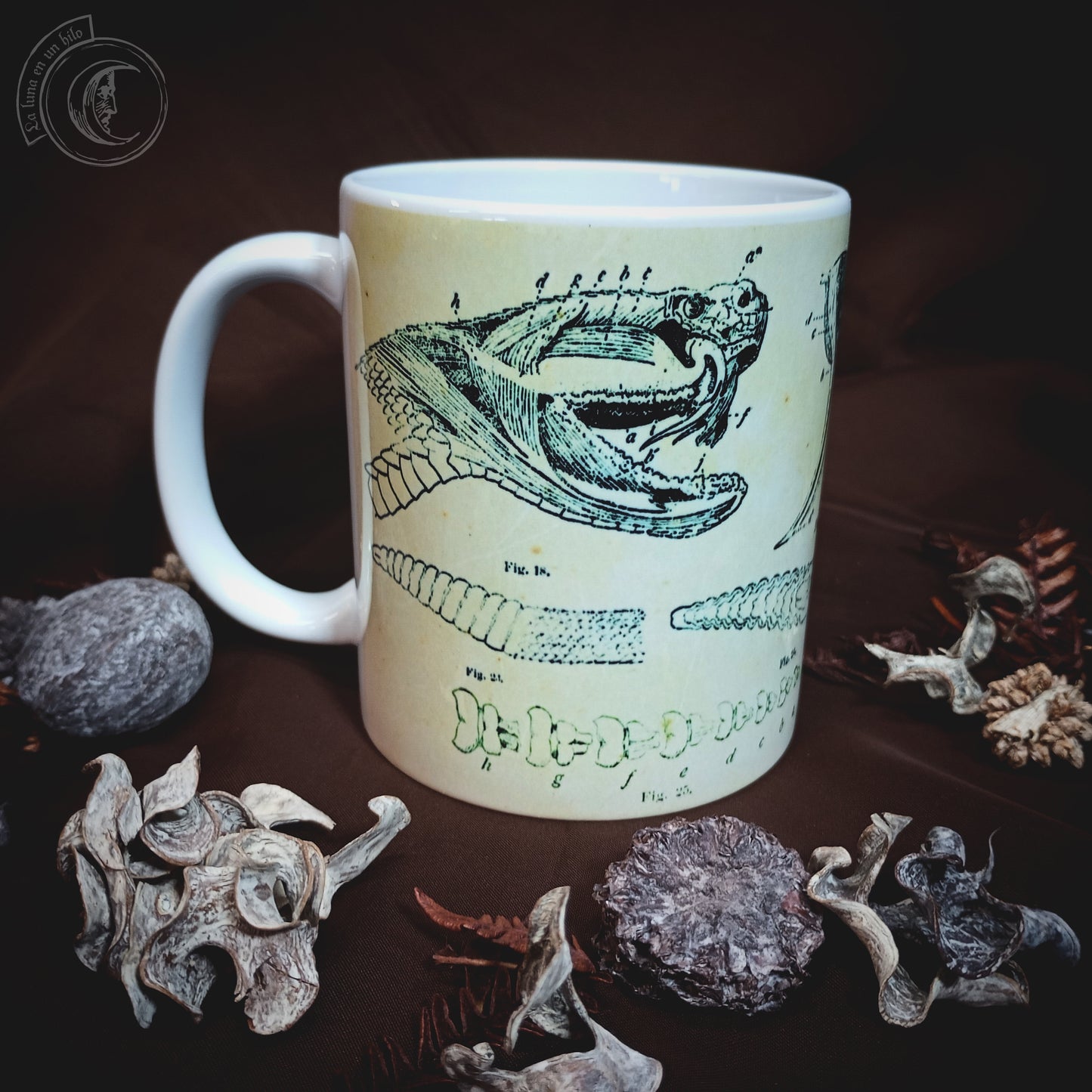 Vintage ceramic mug 11 oz - Rattlesnake Anatomy -