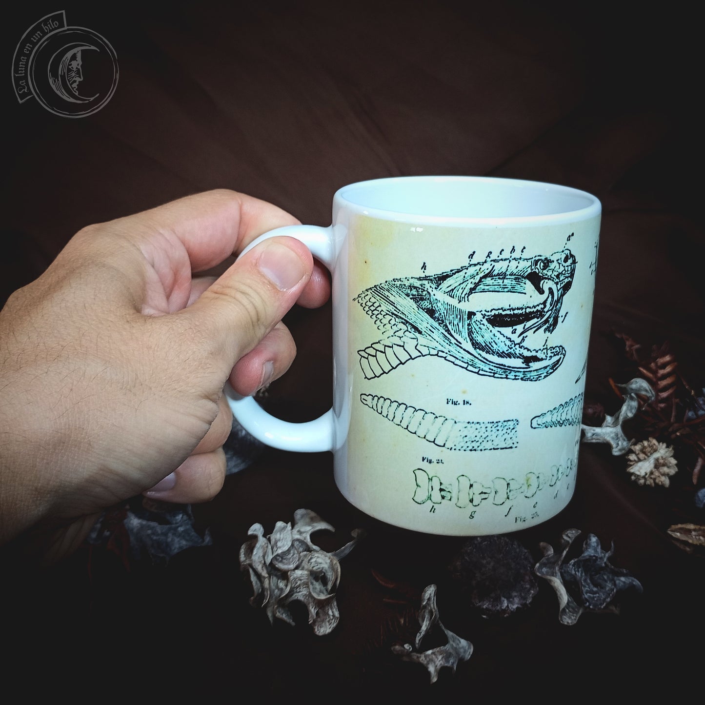 Vintage ceramic mug 11 oz - Rattlesnake Anatomy -