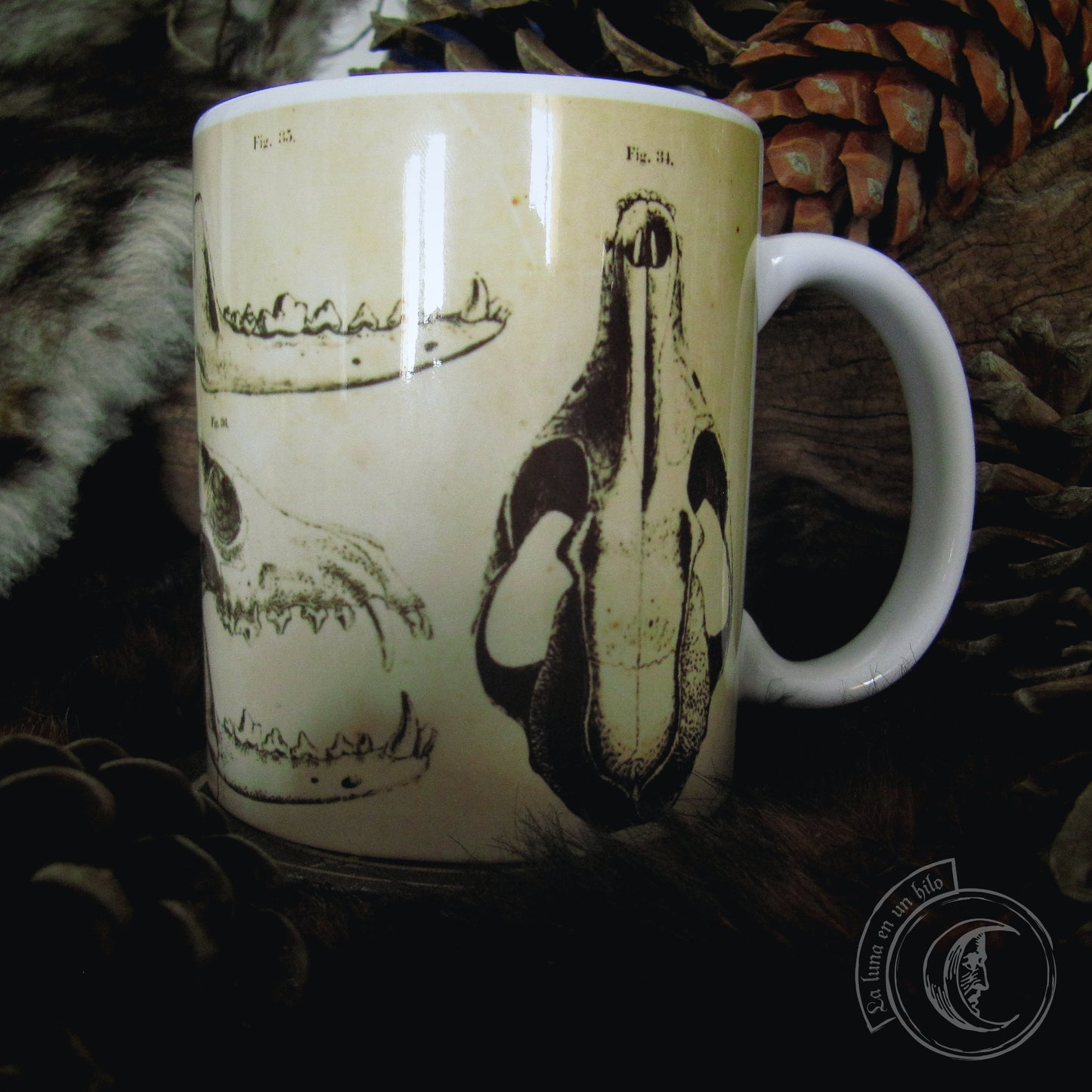 Vintage ceramic mug 11 oz - Fox Anatomy -