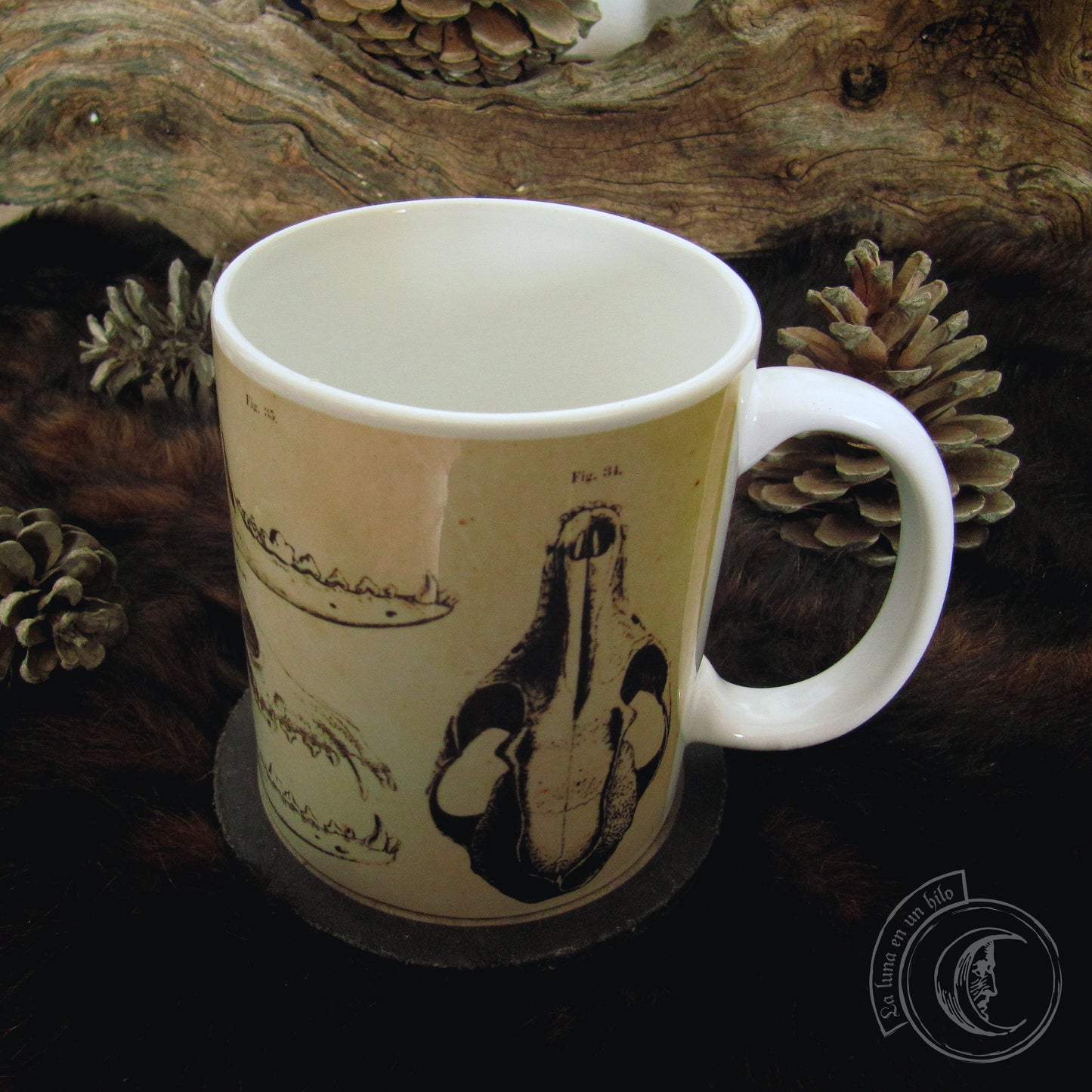 Vintage ceramic mug 11 oz - Fox Anatomy -