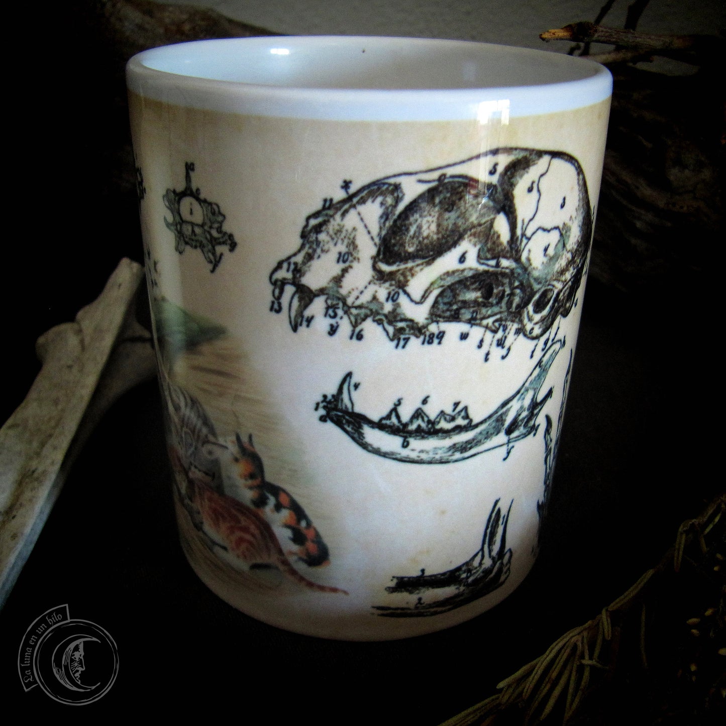 Vintage ceramic mug 11 oz - Cat Anatomy -