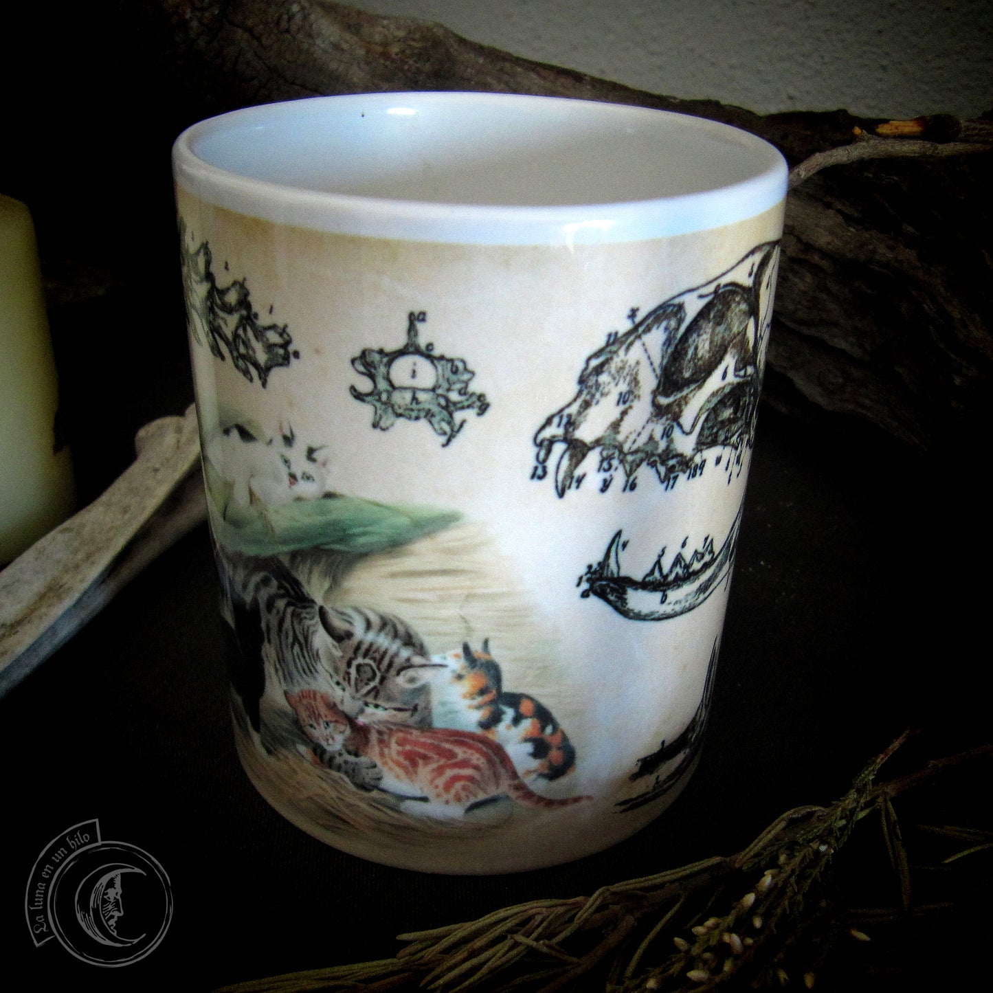 Vintage ceramic mug 11 oz - Cat Anatomy -