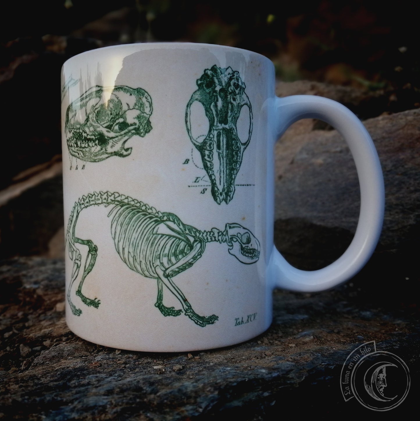 Vintage ceramic mug 11 oz - Hedgehog Anatomy -