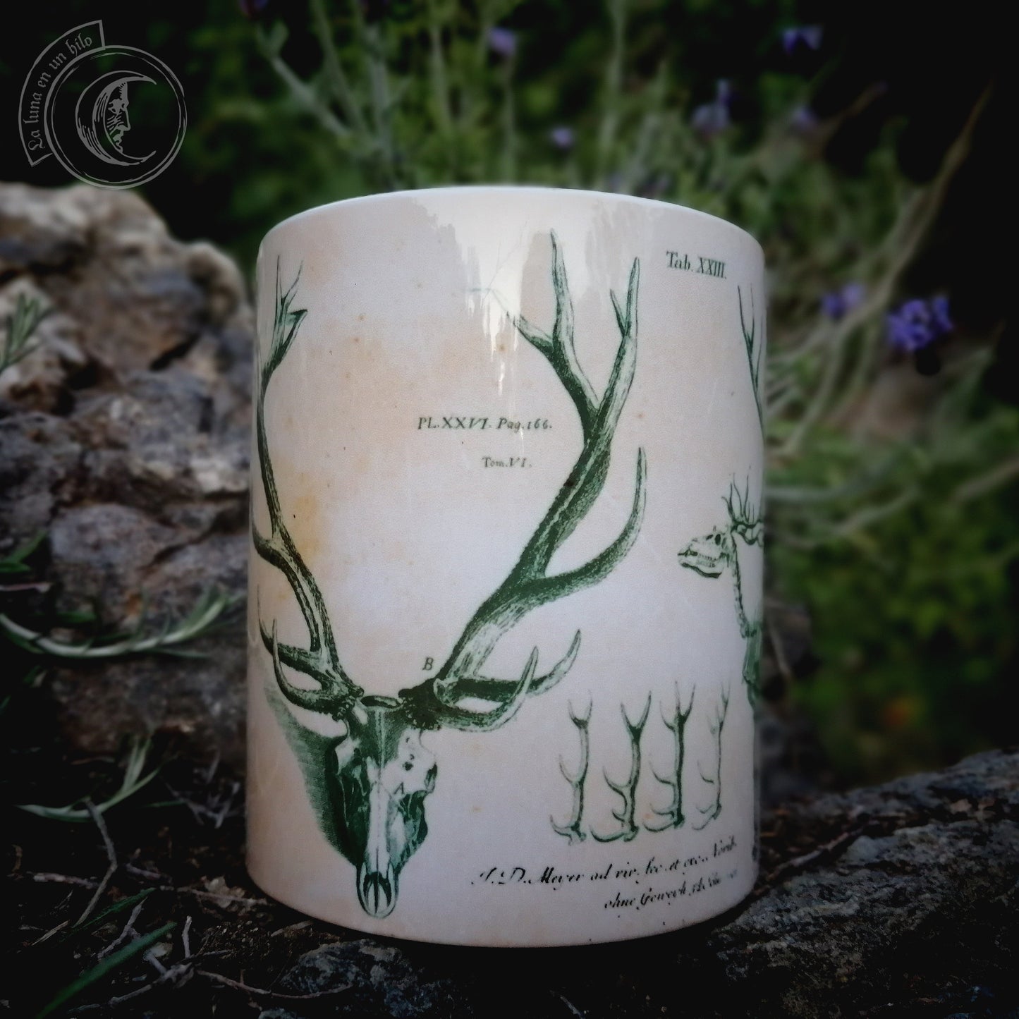 Vintage ceramic mug 11 oz - Deer Anatomy -
