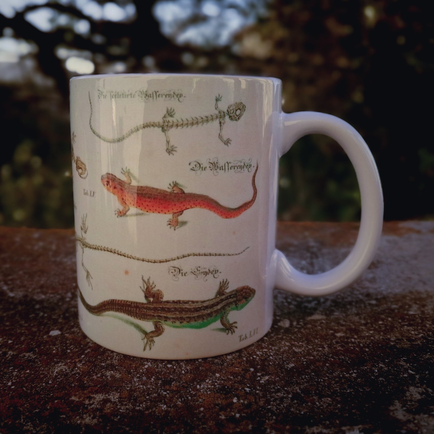 Vintage ceramic mug 11 oz - Lizard Anatomy -