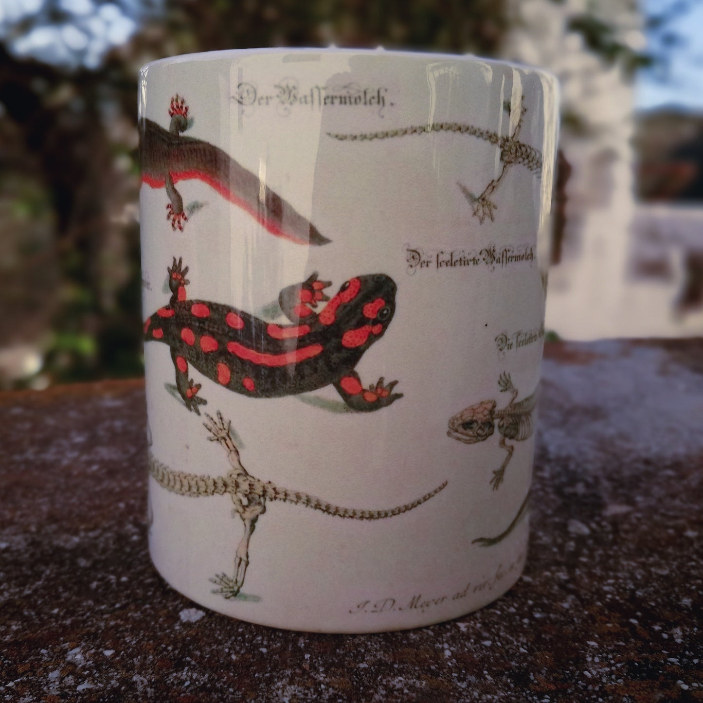 Vintage ceramic mug 11 oz - Lizard Anatomy -
