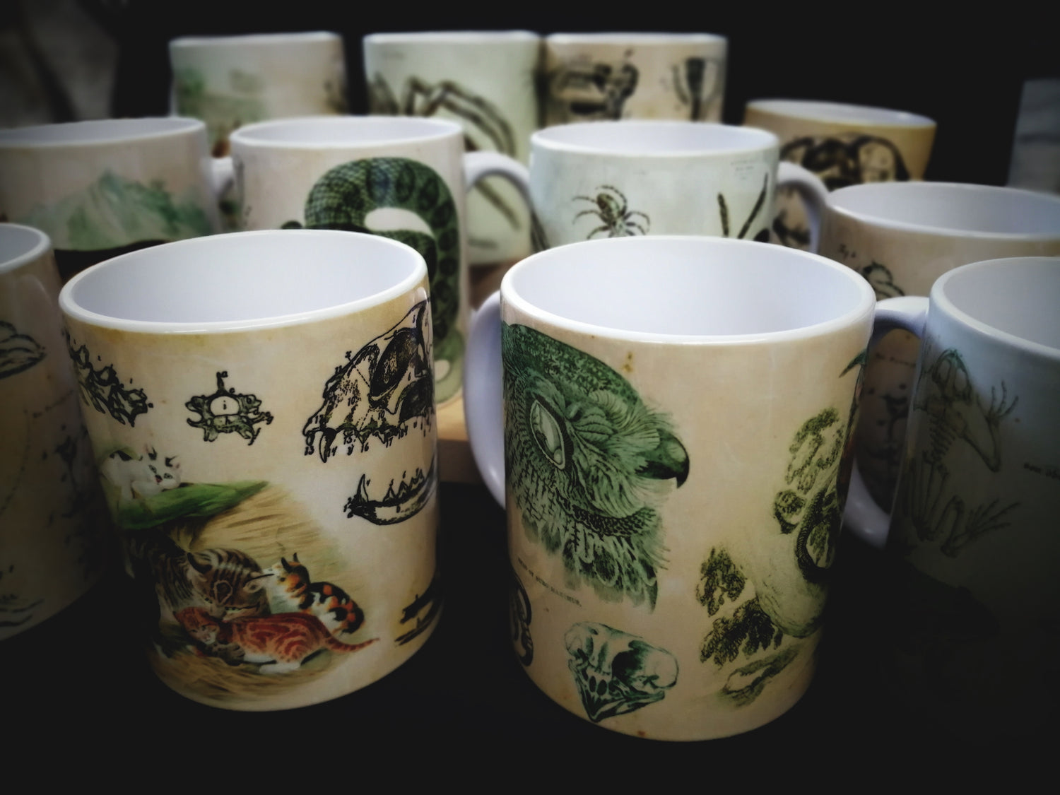 MUGS