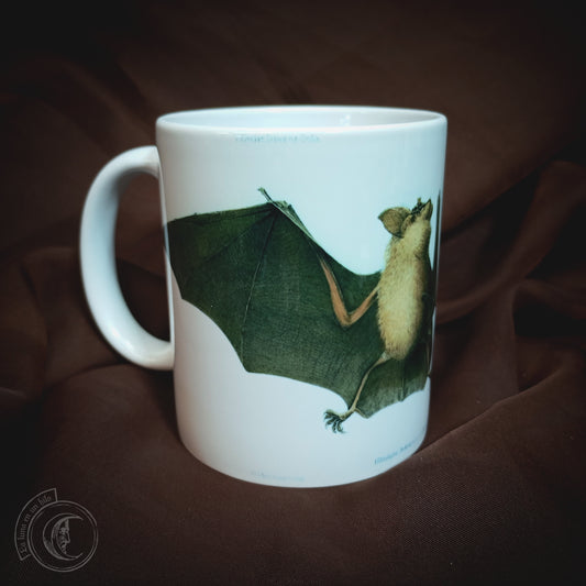 Vintage ceramic mug 11 oz - Bat Anatomy -