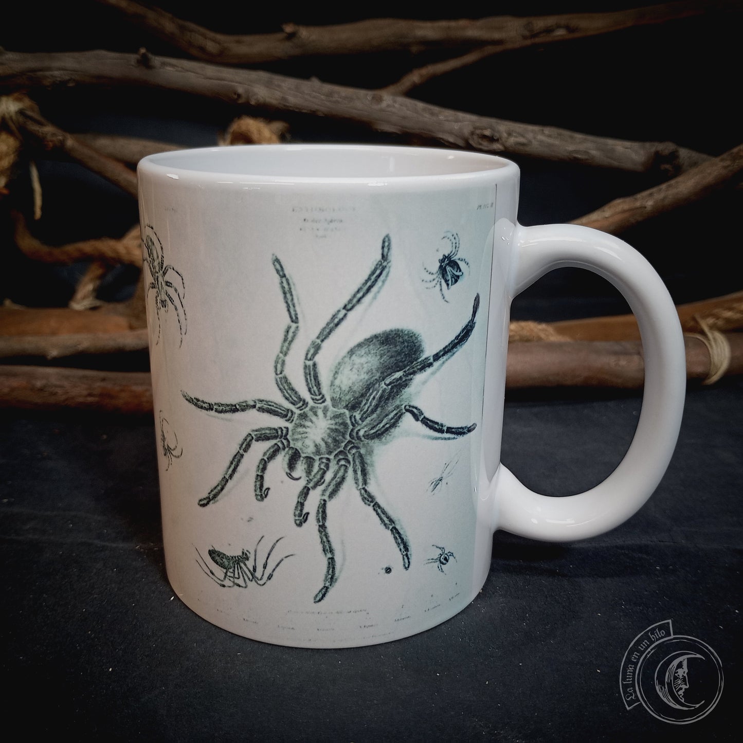 Vintage ceramic mug 11 oz - Spider Anatomy -