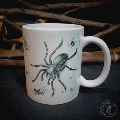 Vintage ceramic mug 11 oz - Spider Anatomy -