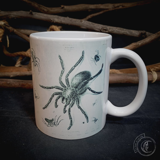Vintage ceramic mug 11 oz - Spider Anatomy -