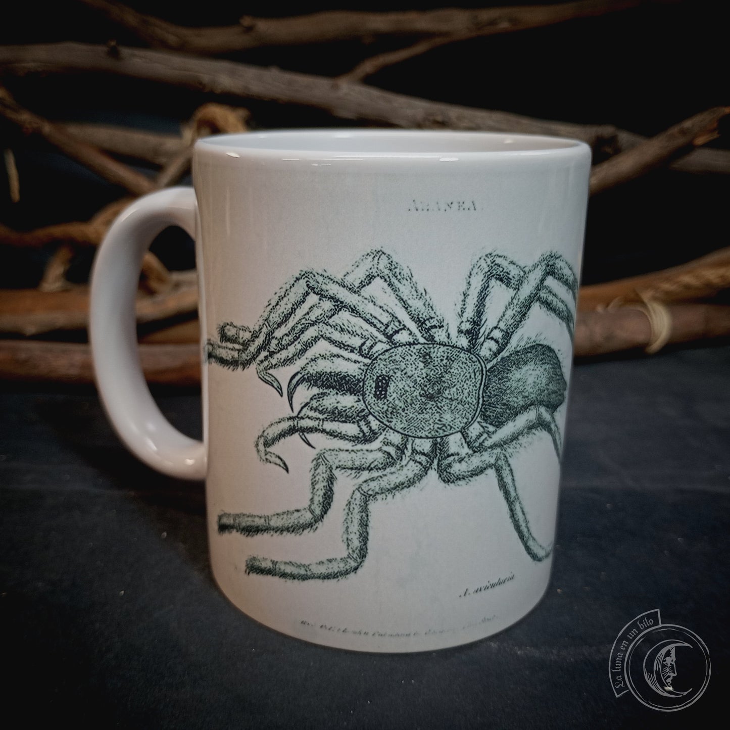 Vintage ceramic mug 11 oz - Spider Anatomy -