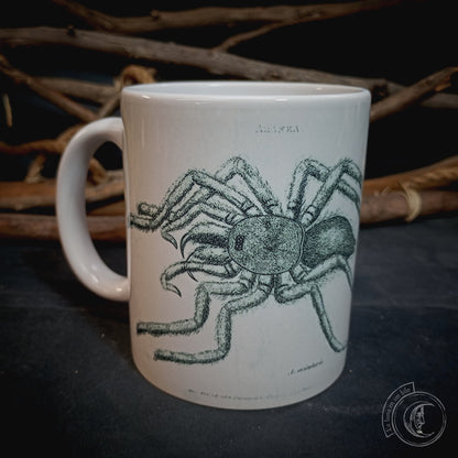 Vintage ceramic mug 11 oz - Spider Anatomy -