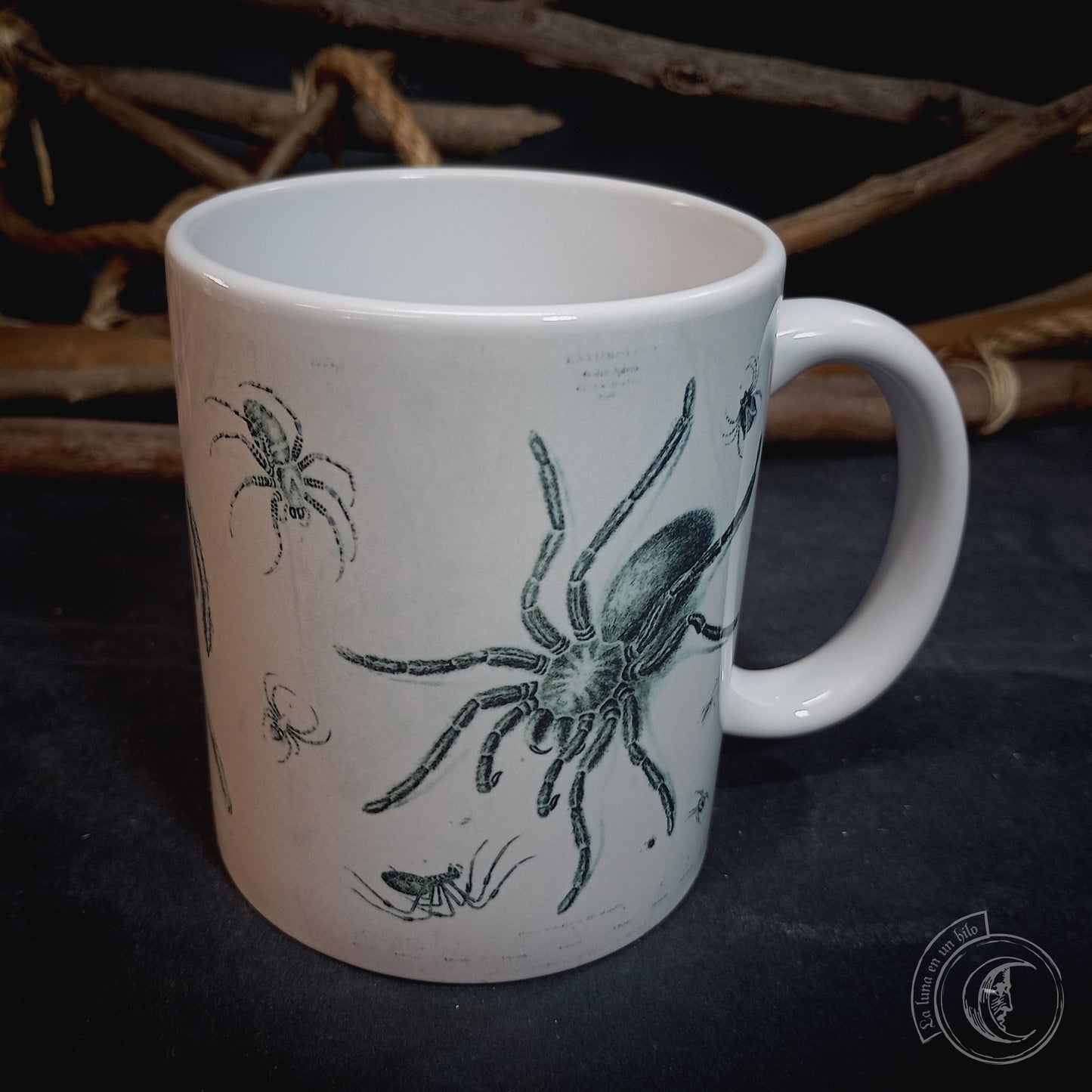 Vintage ceramic mug 11 oz - Spider Anatomy -