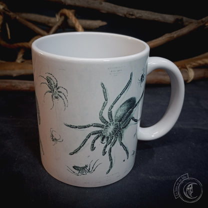 Vintage ceramic mug 11 oz - Spider Anatomy -