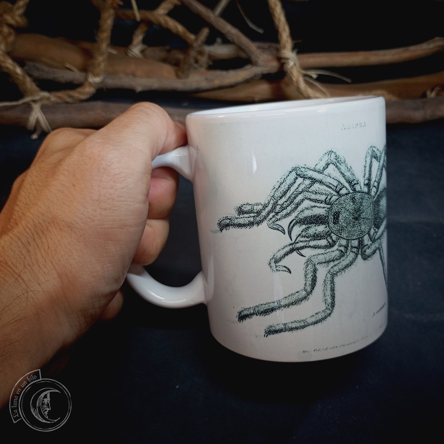 Vintage ceramic mug 11 oz - Spider Anatomy -