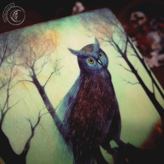 Small Wooden Box - Mystic Owl -