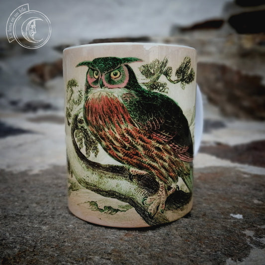 Vintage ceramic mug 11 oz - Owl Anatomy -