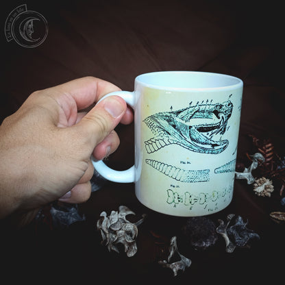 Vintage ceramic mug 11 oz - Rattlesnake Anatomy -