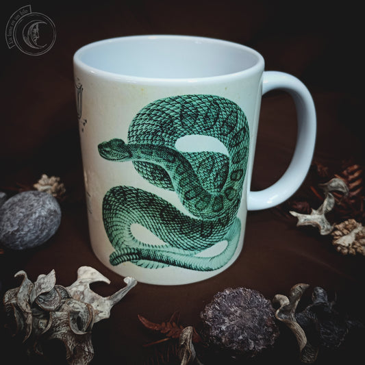 Vintage ceramic mug 11 oz - Rattlesnake Anatomy -