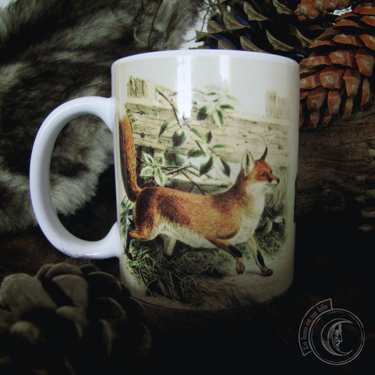 Vintage ceramic mug 11 oz - Fox Anatomy -