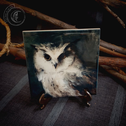 2x Set of Owls - Ceramic Tile Decor