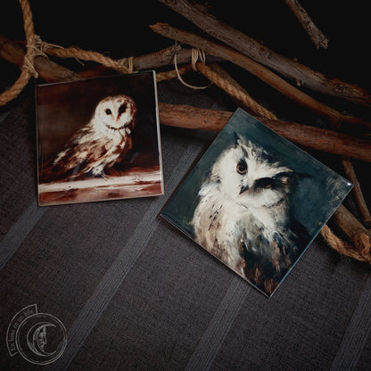 2x Set of Owls - Ceramic Tile Decor