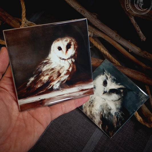2x Set of Owls - Ceramic Tile Decor