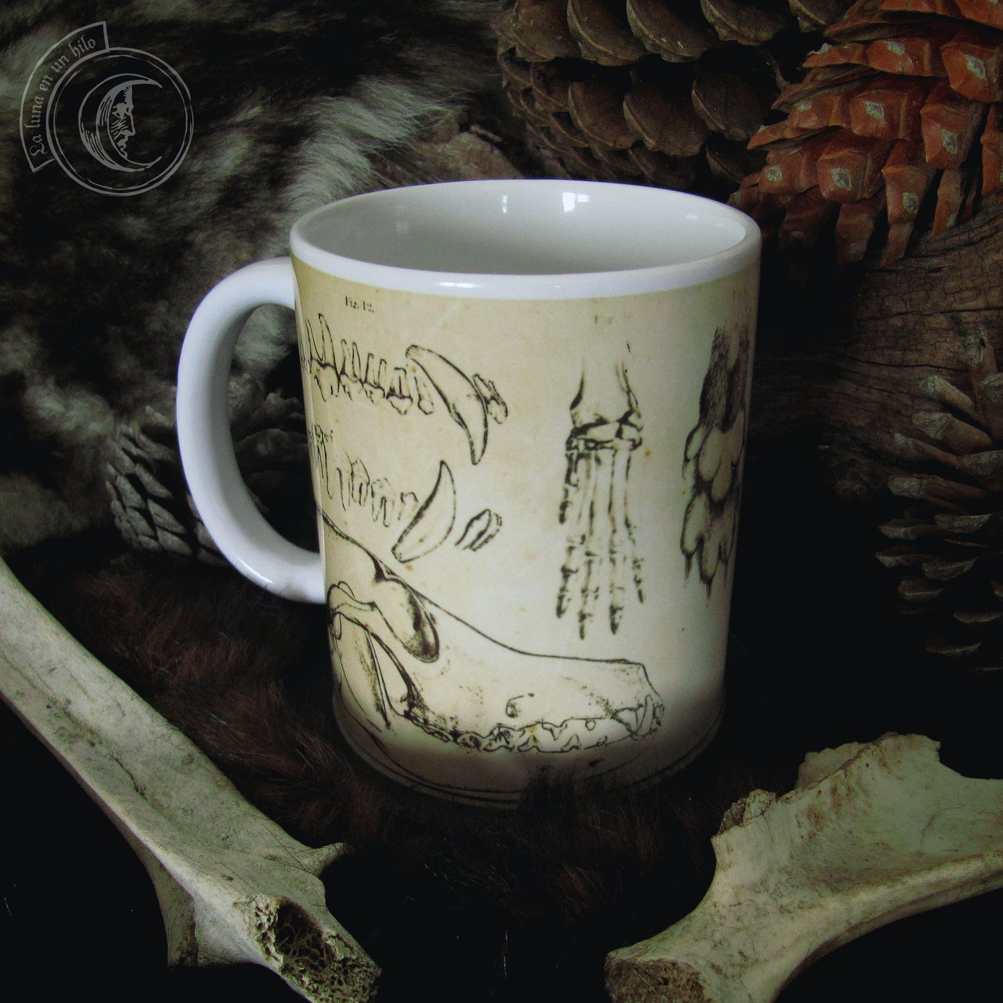 Vintage ceramic mug 11 oz - Wolf Anatomy -