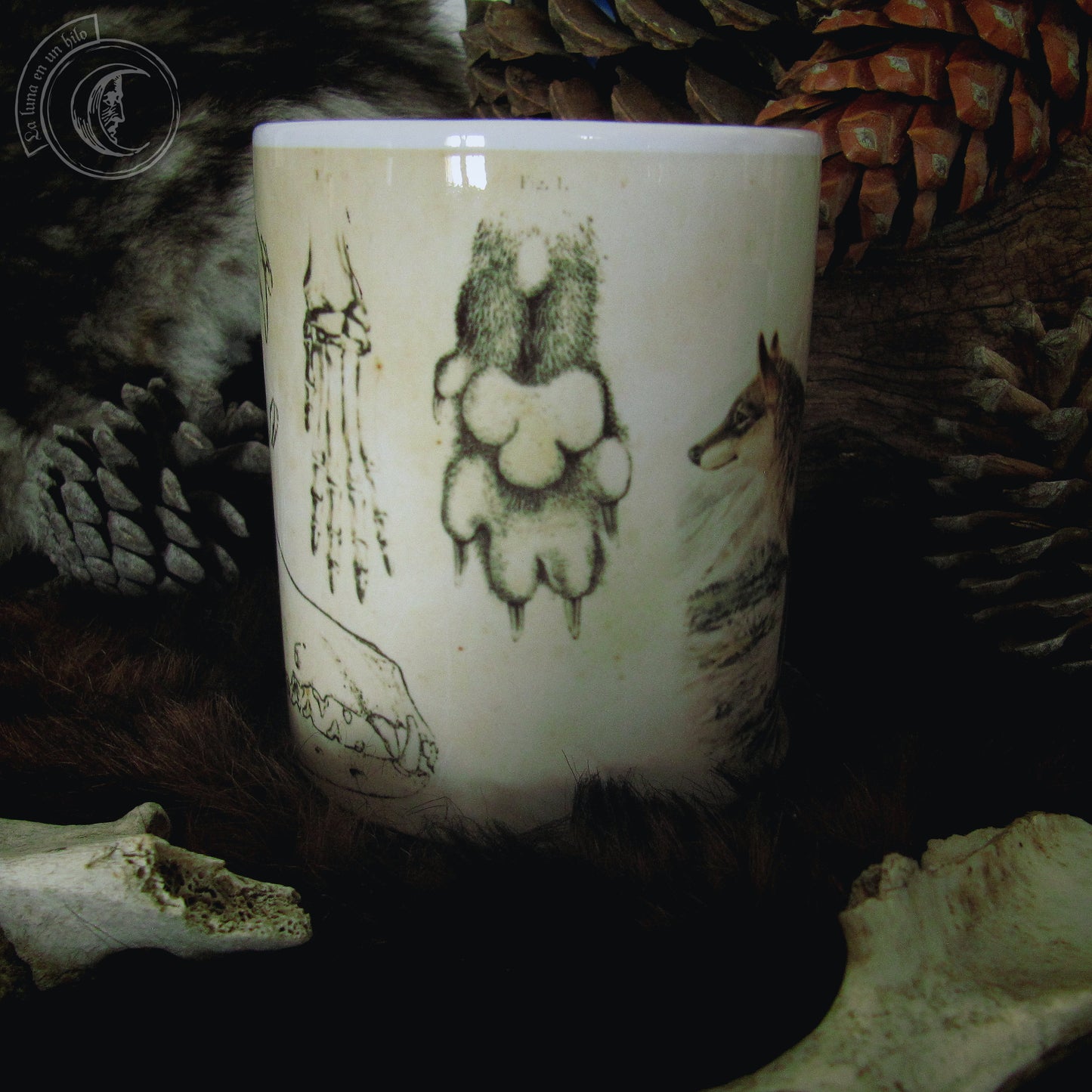 Vintage ceramic mug 11 oz - Wolf Anatomy -