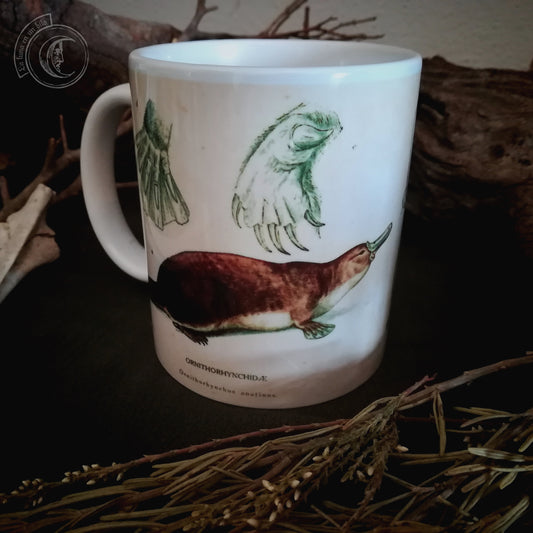 Vintage ceramic mug 11 oz - Platypus Anatomy -