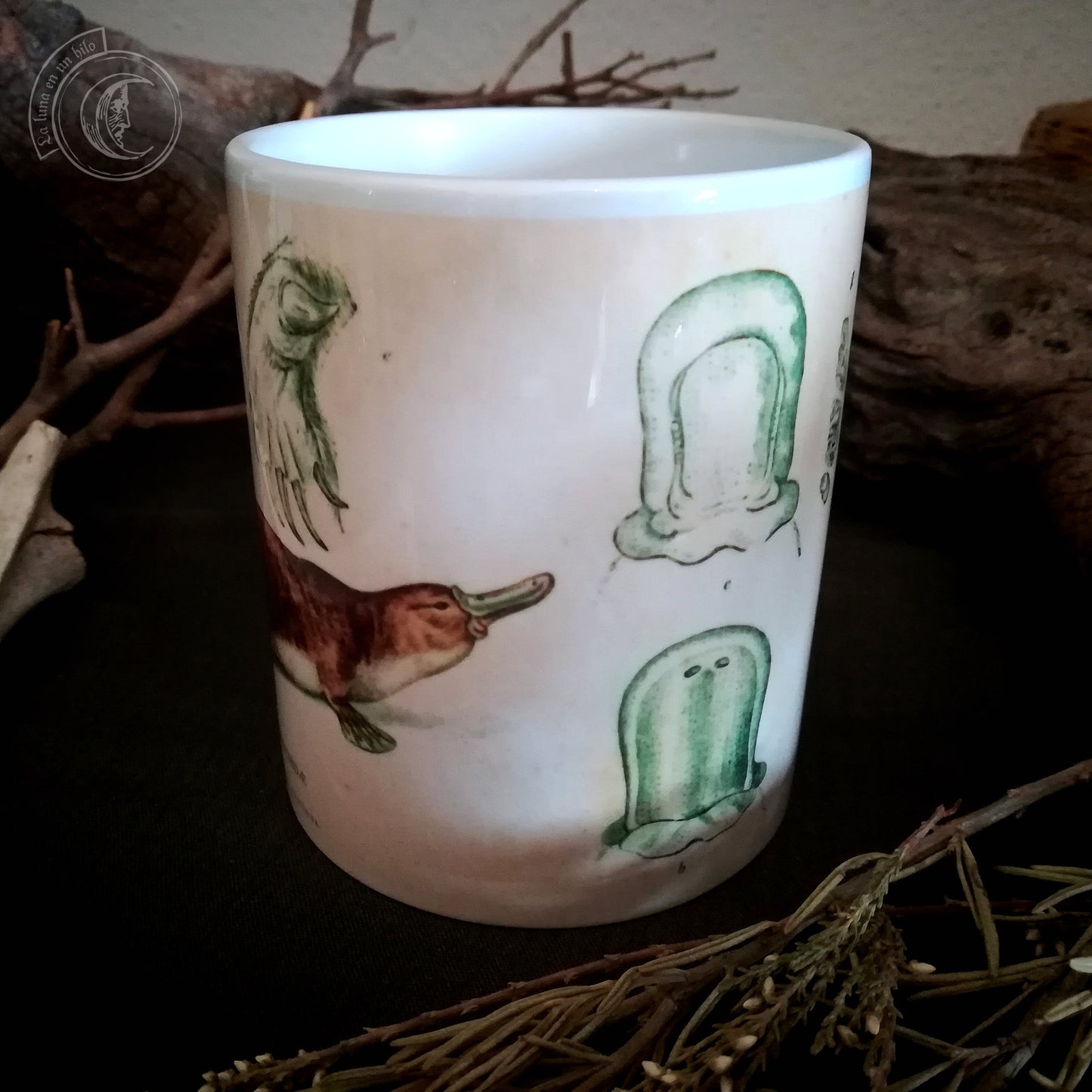 Vintage ceramic mug 11 oz - Platypus Anatomy -