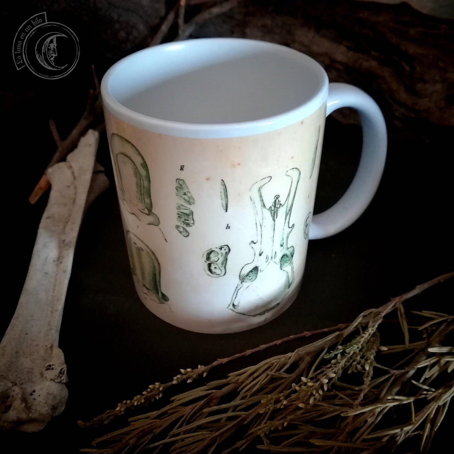 Vintage ceramic mug 11 oz - Platypus Anatomy -