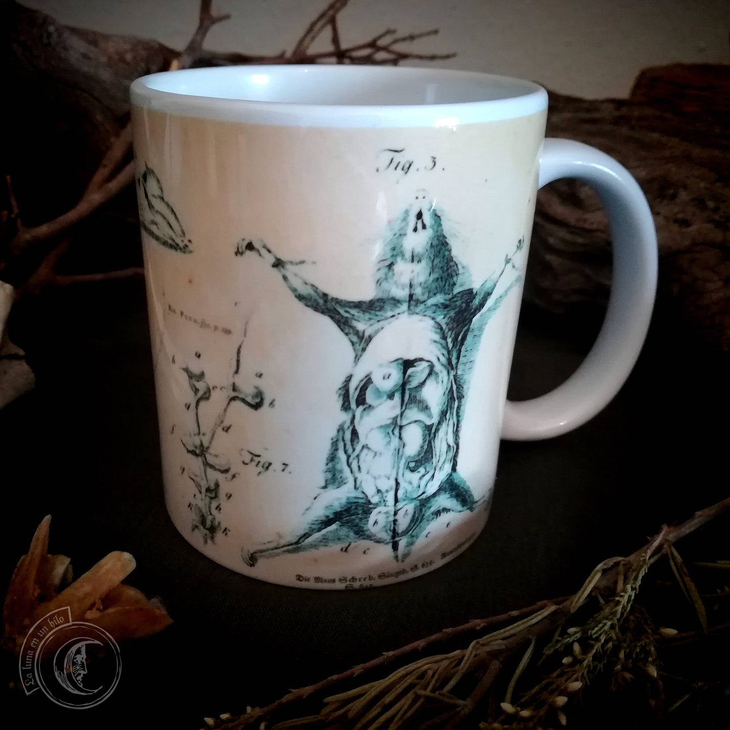 Vintage ceramic mug 11 oz - Mouse Anatomy -