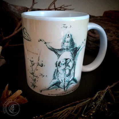 Vintage ceramic mug 11 oz - Mouse Anatomy -
