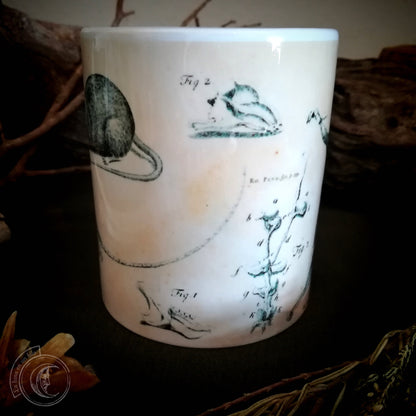 Vintage ceramic mug 11 oz - Mouse Anatomy -