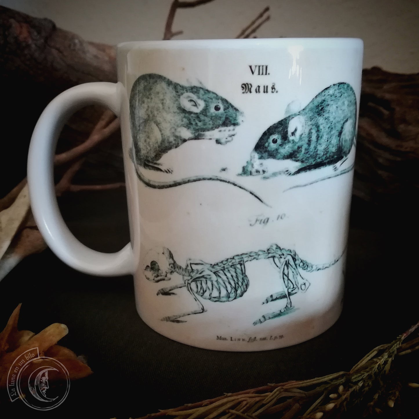 Vintage ceramic mug 11 oz - Mouse Anatomy -