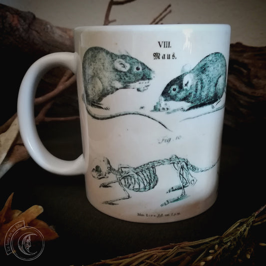 Vintage ceramic mug 11 oz - Mouse Anatomy -
