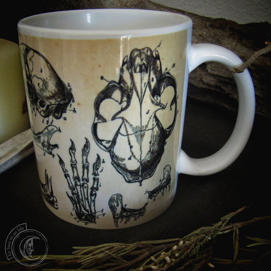 Vintage ceramic mug 11 oz - Cat Anatomy -