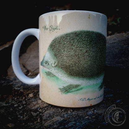 Vintage ceramic mug 11 oz - Hedgehog Anatomy -