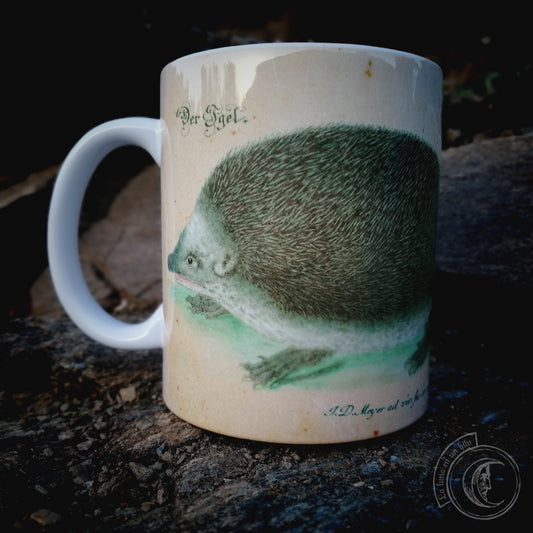 Vintage ceramic mug 11 oz - Hedgehog Anatomy -